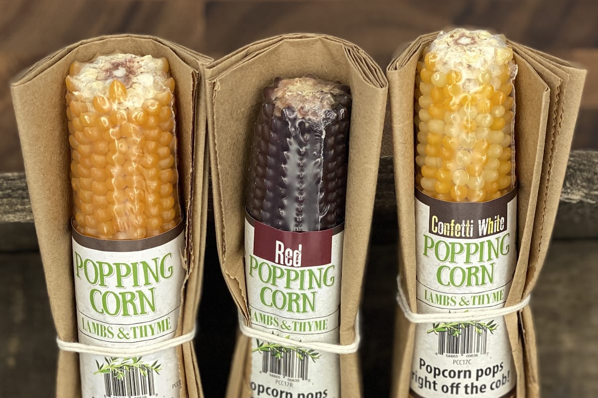 original, red, and confetti white popping corn cobs in paper bag packaging